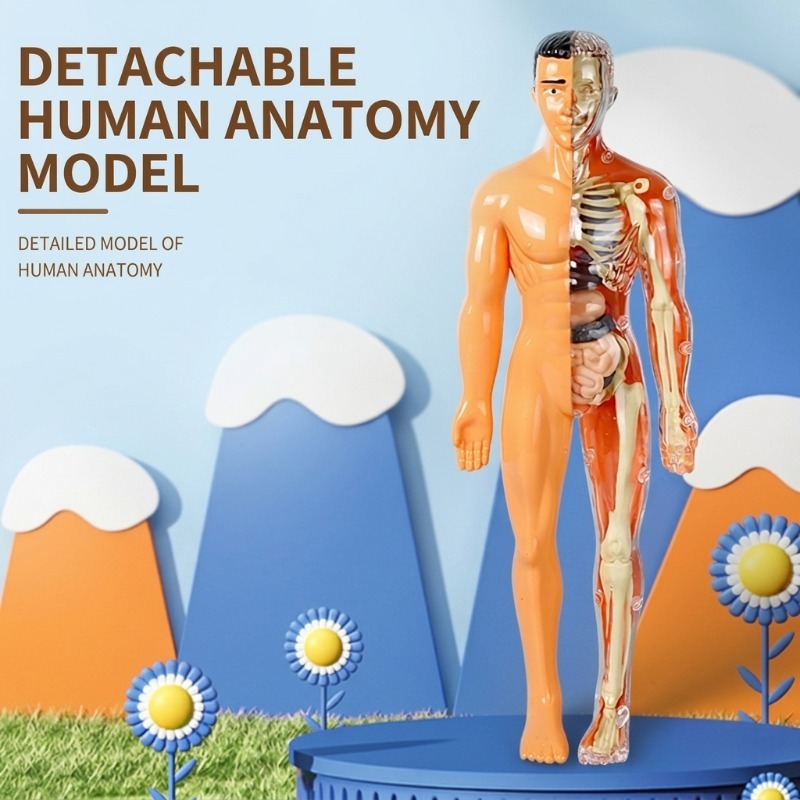 Human Body Puzzle - Kit de Experimentos Científicos para Niños