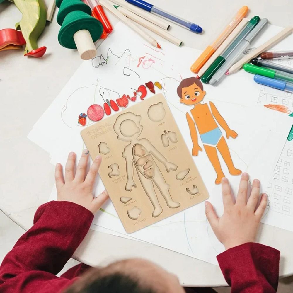 Human Body Puzzle - NUEVO Tablero de Aprendizaje Montessori, Rompecabezas