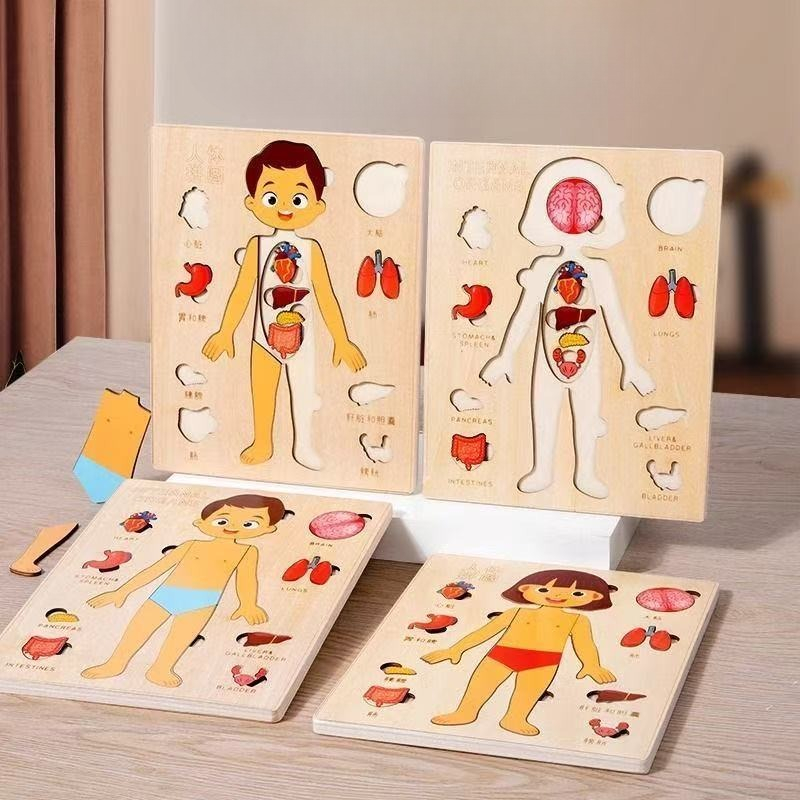 Rompecabezas Montessori, table - Human Body Puzzle reseña y precio