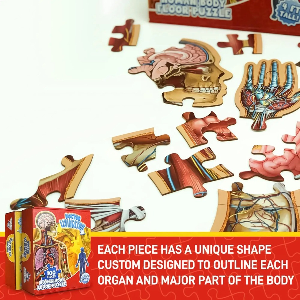 Rompecabezas de Anatomía Human - Human Body Puzzle reseña y precio