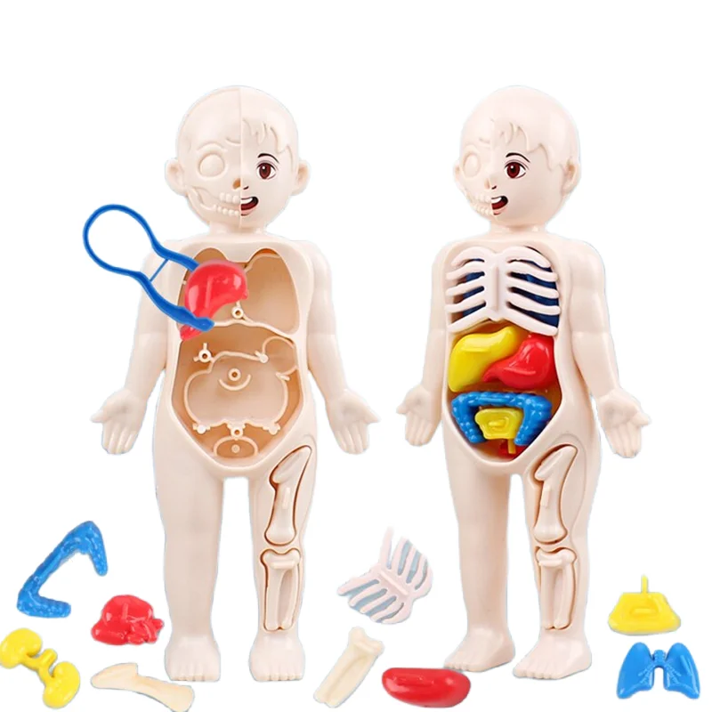 Rompecabezas Montessori 3D de  - Human Body Puzzle reseña y precio