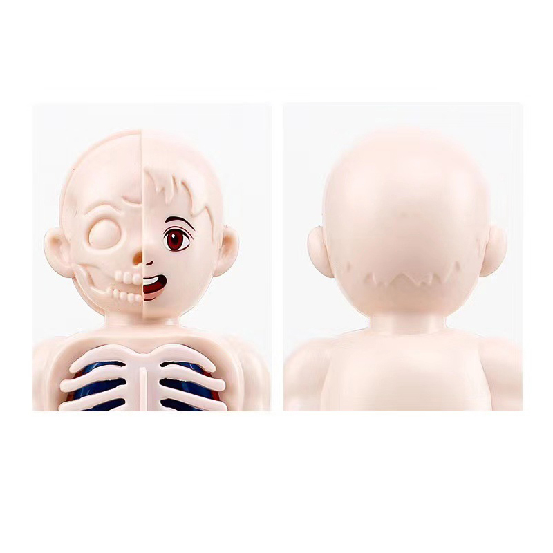 Rompecabezas Montessori 3D de  - Human Body Puzzle reseña y precio