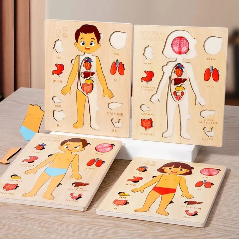 NUEVO Tablero de Aprendizaje M - Human Body Puzzle reseña y precio