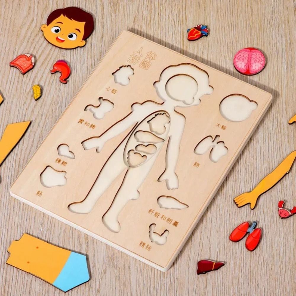 NUEVO Tablero de Aprendizaje M - Human Body Puzzle reseña y precio